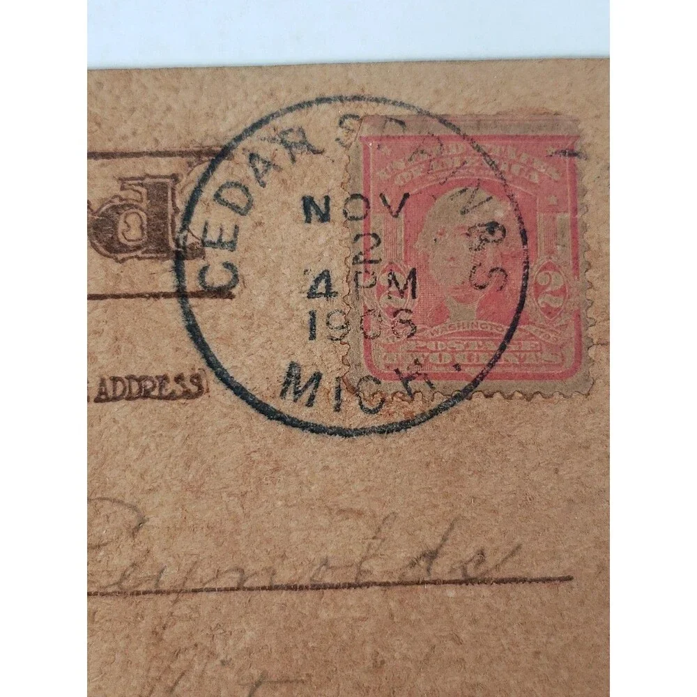 Antique Leather Postcard Mother Pin A Rose On Me Cedar Springs Michigan MI 1906